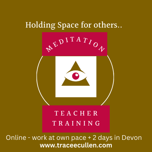 Meditation Teacher Training + 2 Days in Devon